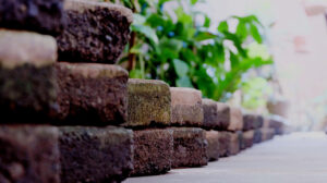 landscaping Lower Hutt